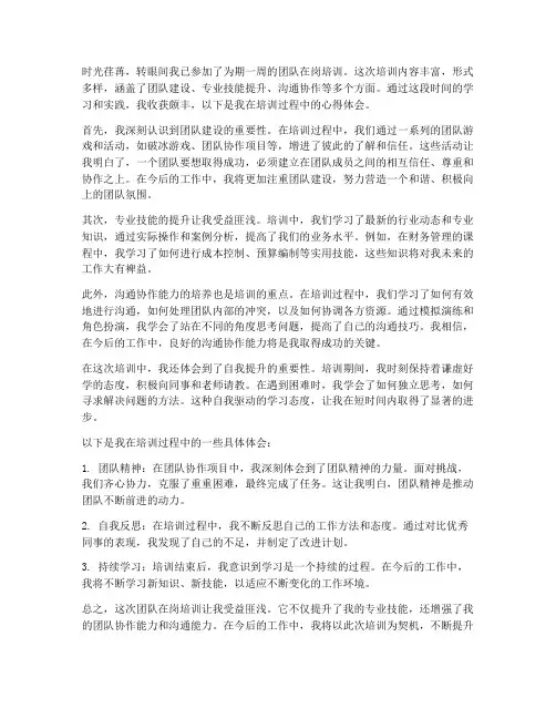 团队在岗培训心得体会范文