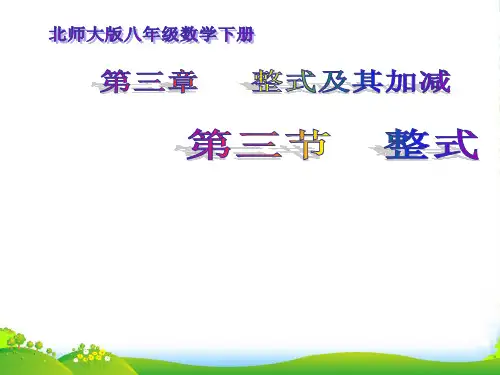 北师大七年级数学上册《整式》课件(共13张PPT)