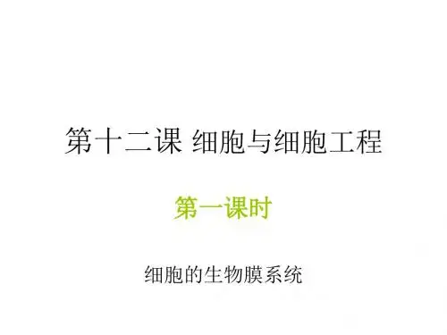 高二生物细胞的生物膜系统(201908)