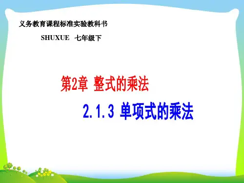 2021年湘教版七年级数学下册第二章《整式的乘法》公开课课件1.ppt