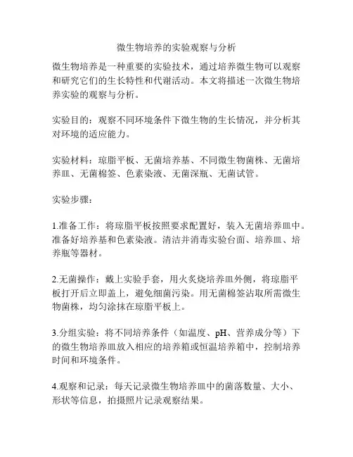 微生物培养的实验观察与分析