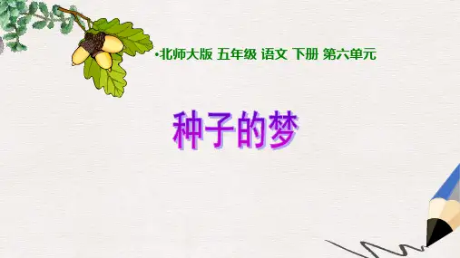 北师大版小学五年级语文下册6.2 种子的梦精品ppt课件