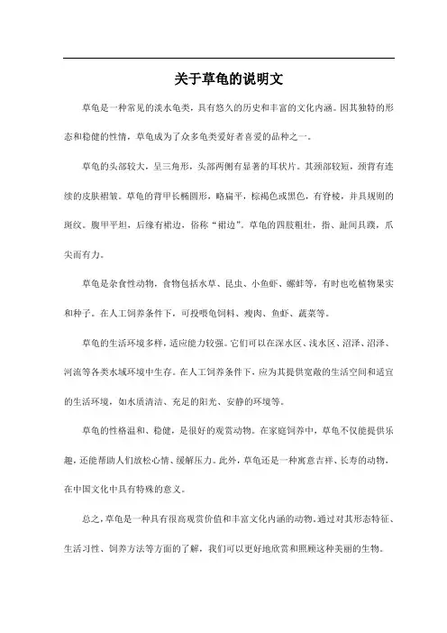 关于草龟的说明文