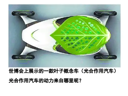 生物人教版(2019)必修1 5.4光合作用与能量转化(共48张ppt)