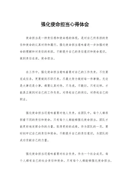 强化使命担当心得体会