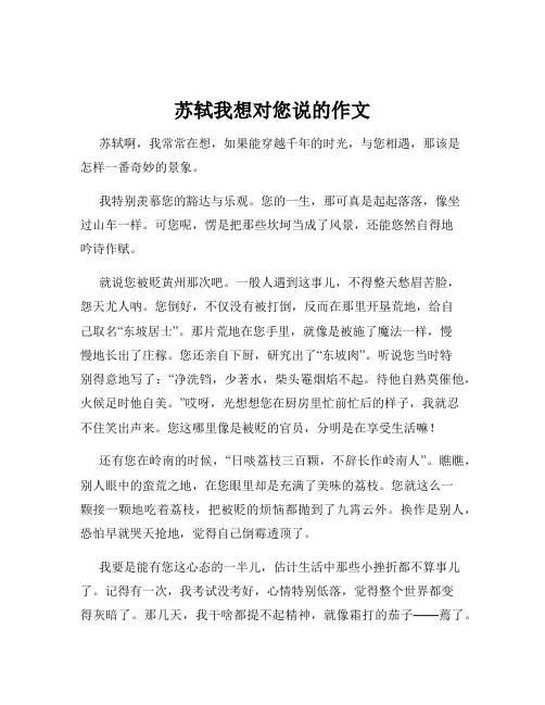 苏轼我想对您说的作文