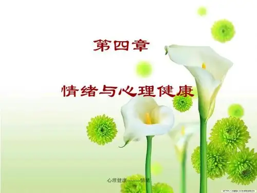 第四章 情绪Microsoft PowerPoint 演示文稿