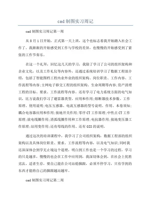 cad制图实习周记