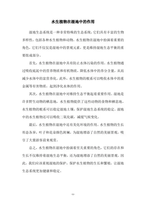 水生植物在湿地中的作用