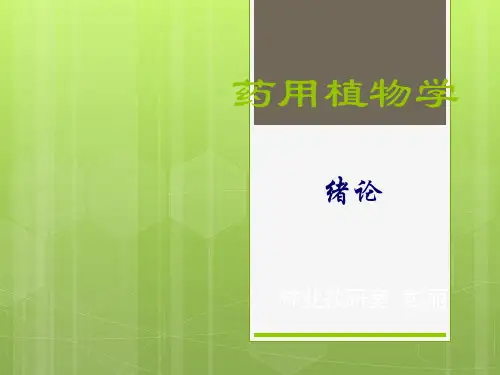 药用植物--绪论