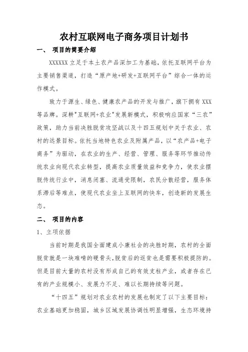 农村互联网电商项目计划书