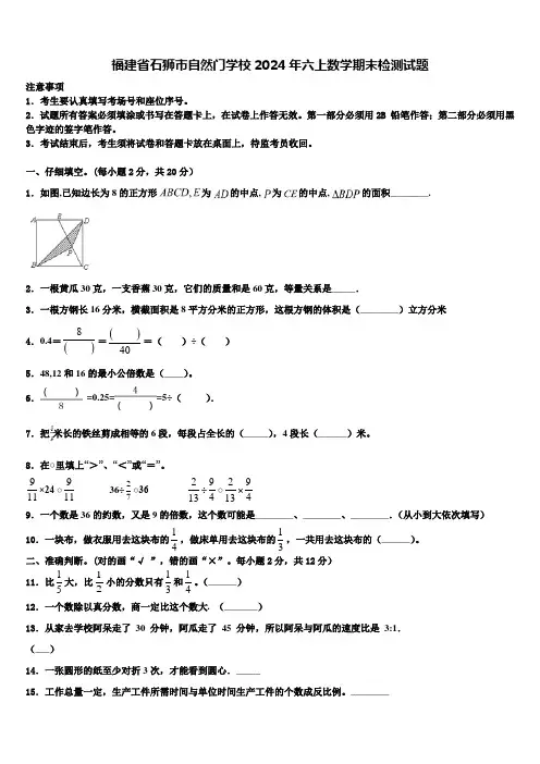 福建省石狮市自然门学校2024年六上数学期末检测试题含解析