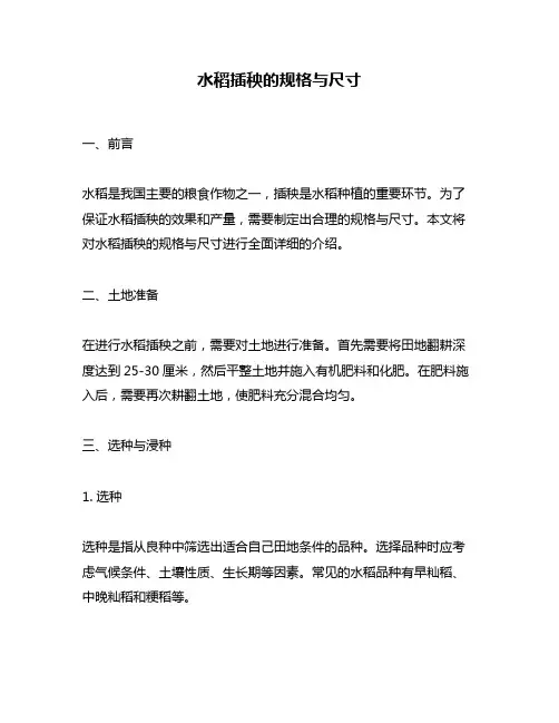 水稻插秧的规格与尺寸