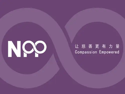 让慈善更有力量——NPP公益伙伴中国慈善事业深度研究