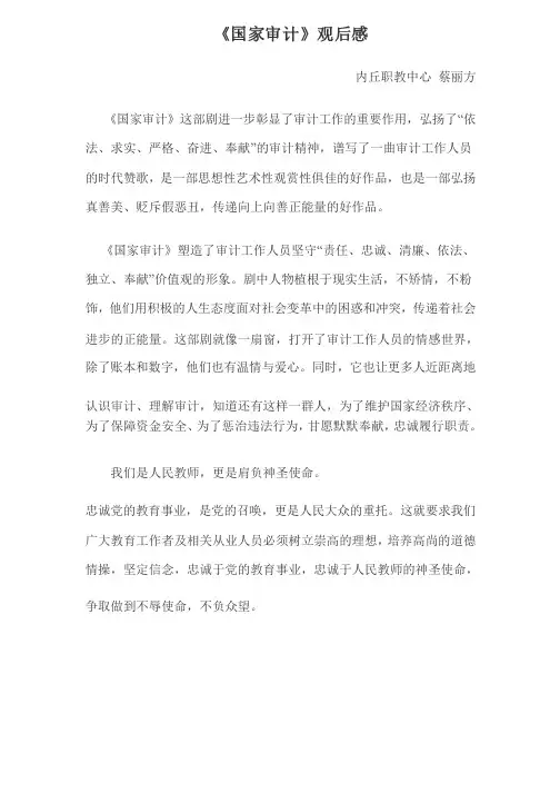 《国家审计》观后感