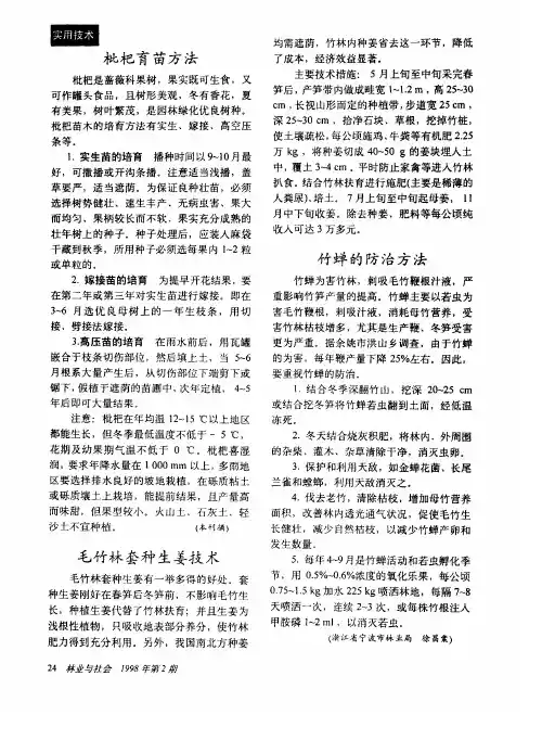 毛竹林套种生姜技术