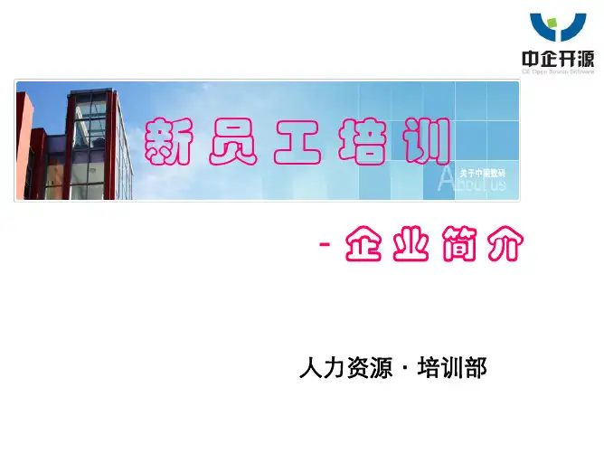 中国数码企业简介