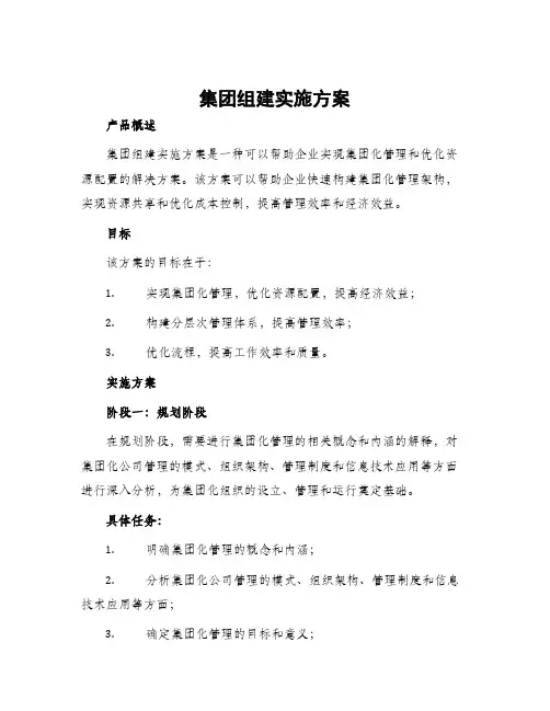 集团组建实施方案
