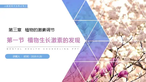 《植物生长激素的发现》人教版高二生物必修三PPT课件