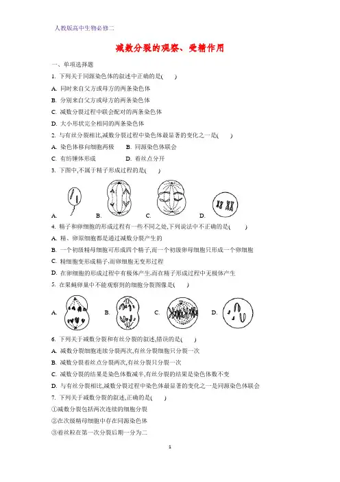 人教版(新教材)高中生物必修2练习17：2 1 3 减数分裂的观察、受精作用课时作业