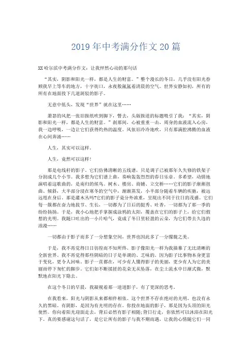 初中作文 2019年中考满分作文20篇-精品