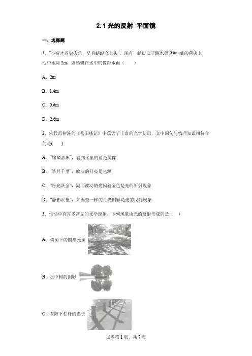 2.1光的反射 平面镜  课时训练(含答案)