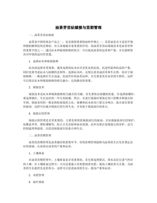 油茶芽苗砧嫁接与苗期管理