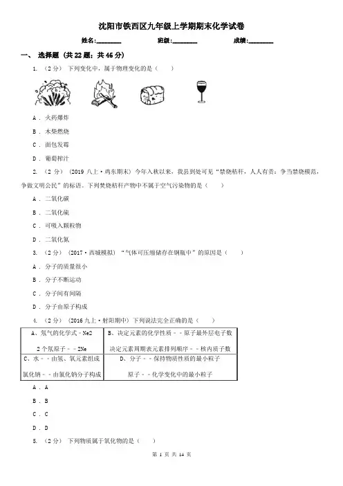 沈阳市铁西区九年级上学期期末化学试卷