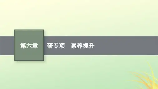 适用于新高考新教材广西专版2024届高考物理一轮总复习第6章动量守恒定律研专项素养提升课件