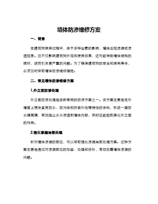 墙体防渗维修方案