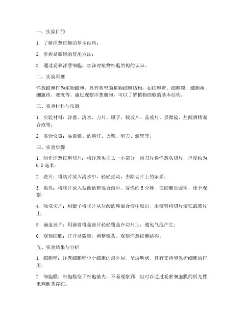 研究洋葱实验报告