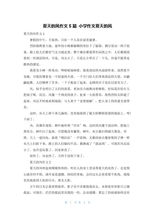 夏天的风作文5篇 小学作文夏天的风