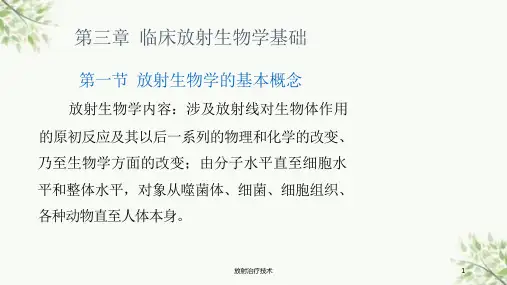 放射治疗技术ppt课件