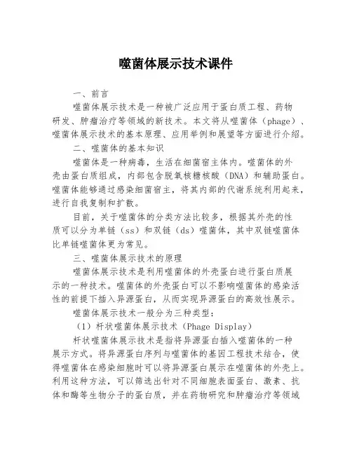 噬菌体展示技术课件