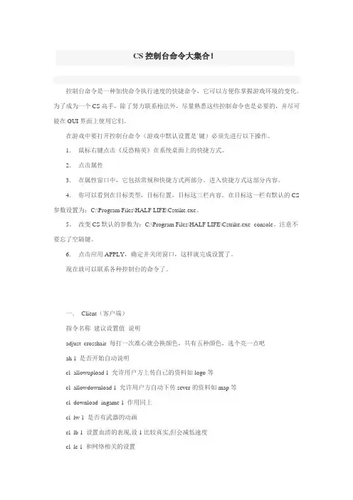 CS控制台命令