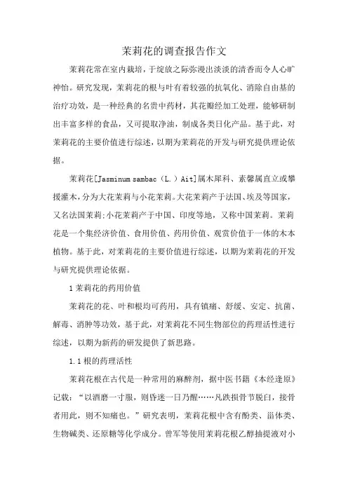 茉莉花的调查报告作文