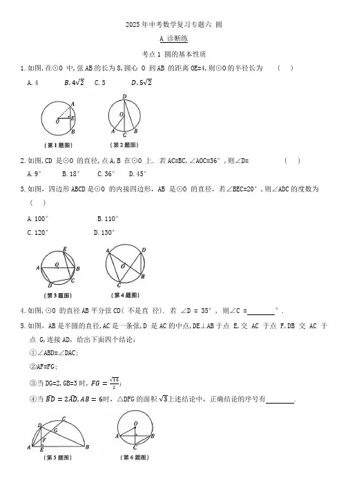 2025年九年级中考数学复习专题六 圆