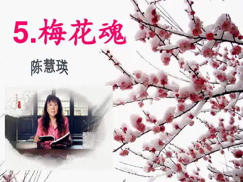 6.梅花魂(完美版)