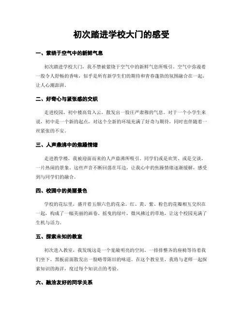 初次踏进学校大门的感受