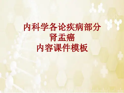 内科学_各论_疾病：肾盂癌_课件模板