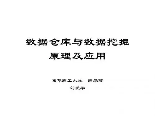 数据仓库与数据挖掘原理及应用V2-121页文档资料