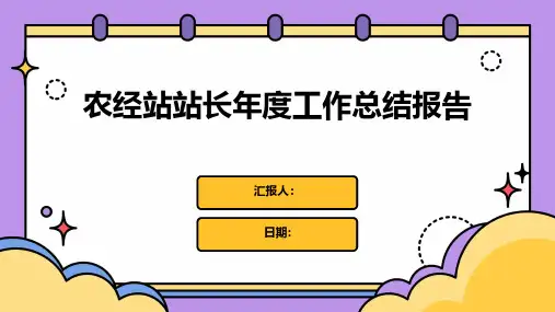 农经站站长年度工作总结报告