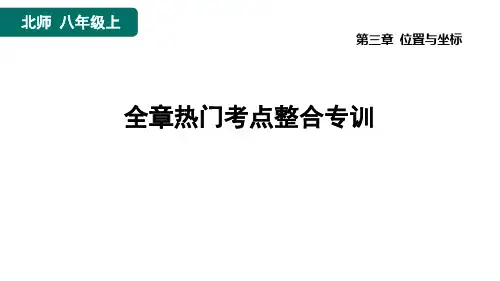 第3章 位置与坐标-全章热门考点整合专训 北师大版数学八年级上册作业课件