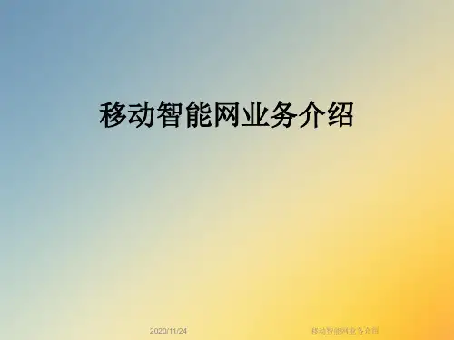 移动智能网业务介绍