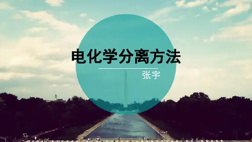 电泳分离法