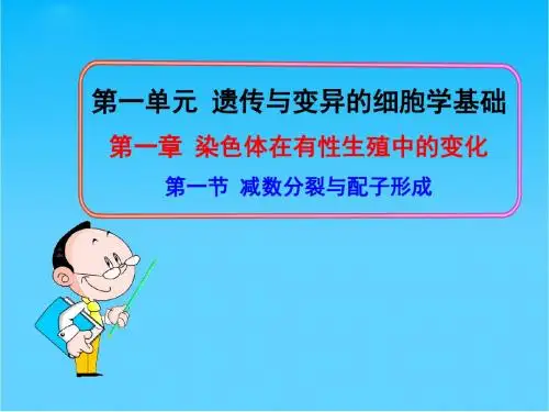 高中生物 第一节 减数分裂与配子形成课件 中图版必修2