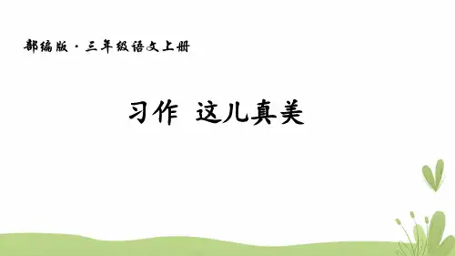习作-这儿真美