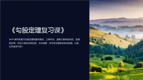 《勾股定理复习课》课件