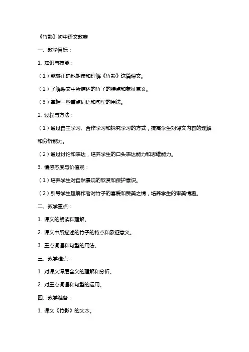《竹影》初中语文教案