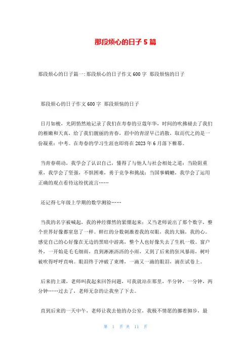 那段烦心的日子5篇